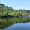 "Drachenschwanz"